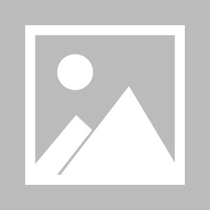BOB半岛平台-吕梁银保行业：凝心聚力展风采 挥拍竞技促交融|乒乓球比赛|女单|吕梁市|赛事|参赛